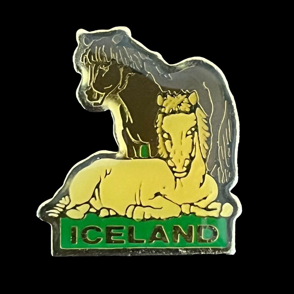 Vintage Iceland Souvenir Enamel Pin